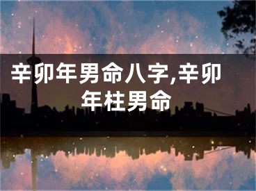 辛卯年男命八字,辛卯年柱男命