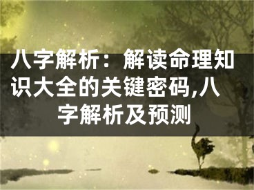 八字解析：解读命理知识大全的关键密码,八字解析及预测