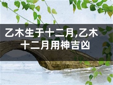 乙木生于十二月,乙木十二月用神吉凶