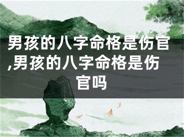 男孩的八字命格是伤官,男孩的八字命格是伤官吗