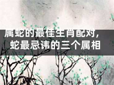 属蛇的最佳生肖配对,蛇最忌讳的三个属相