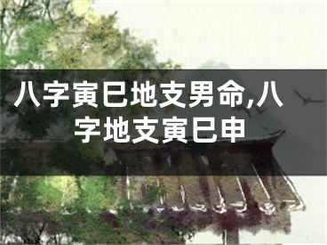 八字寅巳地支男命,八字地支寅巳申