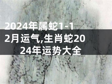 2024年属蛇1-12月运气,生肖蛇2024年运势大全
