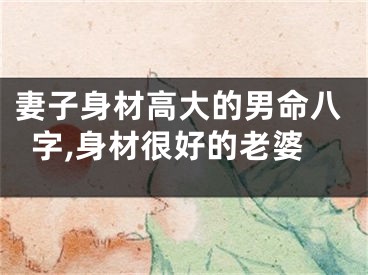 妻子身材高大的男命八字,身材很好的老婆