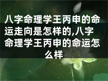 八字命理学王丙申的命运走向是怎样的,八字命理学王丙申的命运怎么样