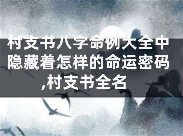 村支书八字命例大全中隐藏着怎样的命运密码,村支书全名