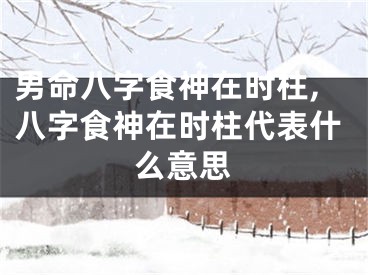 男命八字食神在时柱,八字食神在时柱代表什么意思