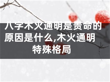 八字木火通明是贵命的原因是什么,木火通明 特殊格局
