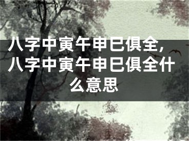 八字中寅午申巳俱全,八字中寅午申巳俱全什么意思