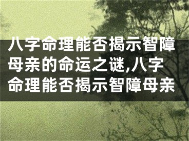 八字命理能否揭示智障母亲的命运之谜,八字命理能否揭示智障母亲