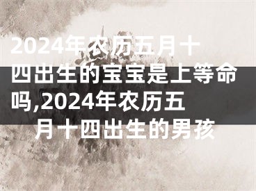 2024年农历五月十四出生的宝宝是上等命吗,2024年农历五月十四出生的男孩