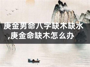 庚金男命八字缺木缺水,庚金命缺木怎么办