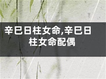 辛巳日柱女命,辛巳日柱女命配偶