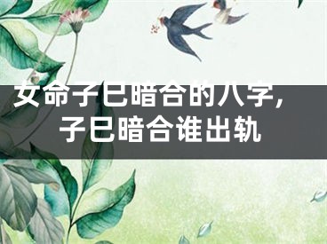 女命子巳暗合的八字,子巳暗合谁出轨