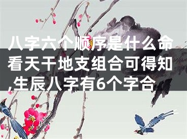 八字六个顺序是什么命看天干地支组合可得知,生辰八字有6个字合