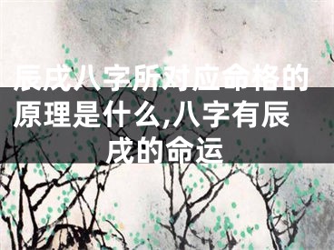 辰戌八字所对应命格的原理是什么,八字有辰戌的命运