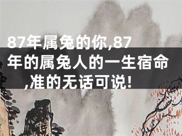 87年属兔的你,87年的属兔人的一生宿命,准的无话可说!