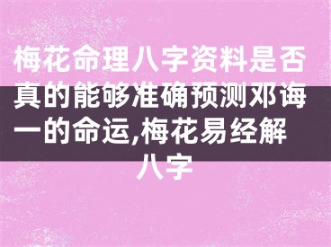 梅花命理八字资料是否真的能够准确预测邓诲一的命运,梅花易经解八字
