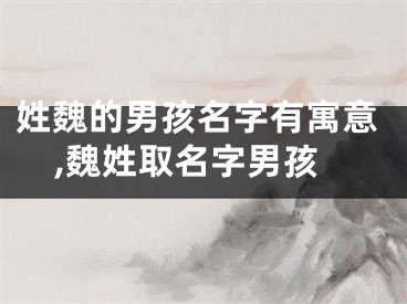 姓魏的男孩名字有寓意,魏姓取名字男孩