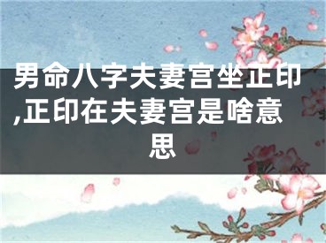 男命八字夫妻宫坐正印,正印在夫妻宫是啥意思