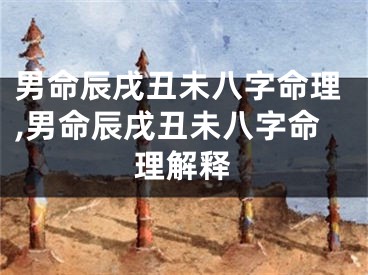 男命辰戌丑未八字命理,男命辰戌丑未八字命理解释