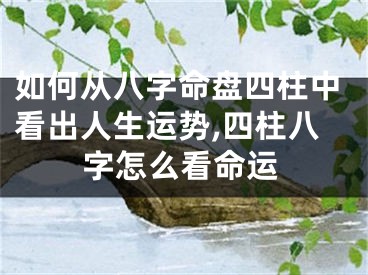 如何从八字命盘四柱中看出人生运势,四柱八字怎么看命运
