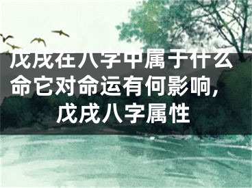 戊戌在八字中属于什么命它对命运有何影响,戊戌八字属性