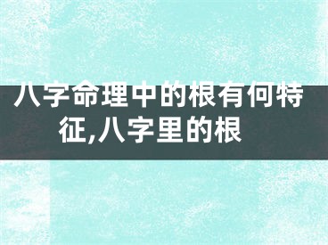 八字命理中的根有何特征,八字里的根