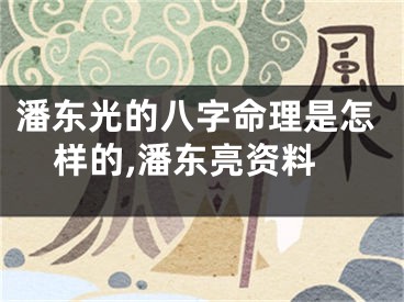 潘东光的八字命理是怎样的,潘东亮资料