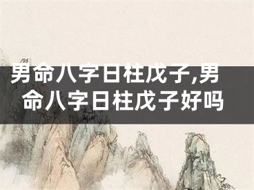男命八字日柱戊子,男命八字日柱戊子好吗