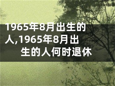 1965年8月出生的人,1965年8月出生的人何时退休