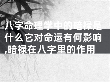 八字命理学中的暗禄是什么它对命运有何影响,暗禄在八字里的作用