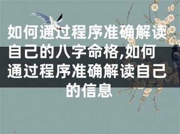 如何通过程序准确解读自己的八字命格,如何通过程序准确解读自己的信息