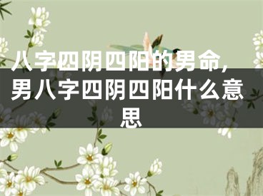 八字四阴四阳的男命,男八字四阴四阳什么意思
