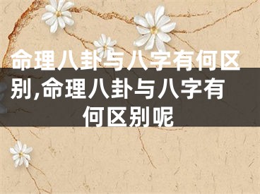 命理八卦与八字有何区别,命理八卦与八字有何区别呢
