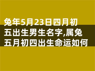 兔年5月23日四月初五出生男生名字,属兔五月初四出生命运如何