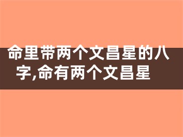 命里带两个文昌星的八字,命有两个文昌星