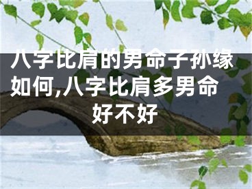 八字比肩的男命子孙缘如何,八字比肩多男命好不好