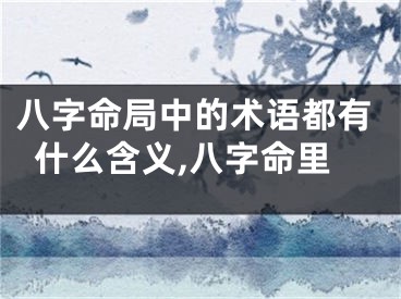 八字命局中的术语都有什么含义,八字命里