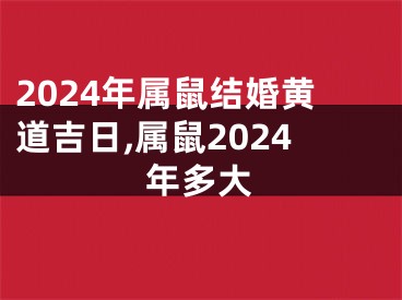 2024年属鼠结婚黄道吉日,属鼠2024年多大