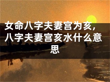 女命八字夫妻宫为亥,八字夫妻宫亥水什么意思