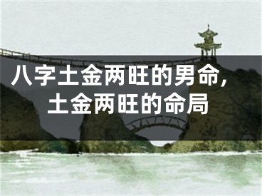 八字土金两旺的男命,土金两旺的命局