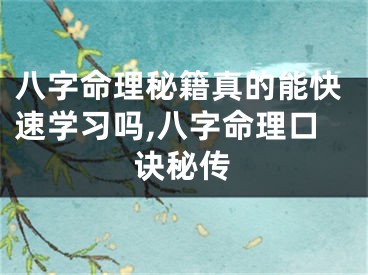 八字命理秘籍真的能快速学习吗,八字命理口诀秘传