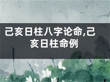 己亥日柱八字论命,己亥日柱命例