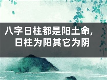 八字日柱都是阳土命,日柱为阳其它为阴