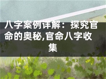 八字案例详解：探究官命的奥秘,官命八字收集