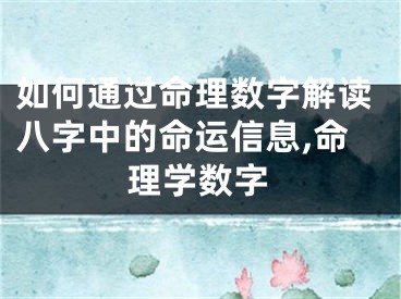 如何通过命理数字解读八字中的命运信息,命理学数字