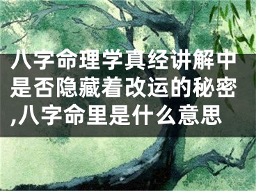 八字命理学真经讲解中是否隐藏着改运的秘密,八字命里是什么意思