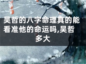 吴哲的八字命理真的能看准他的命运吗,吴哲多大