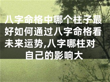 八字命格中哪个柱子最好如何通过八字命格看未来运势,八字哪柱对自己的影响大